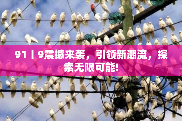 91丨9震撼来袭，引领新潮流，探索无限可能!