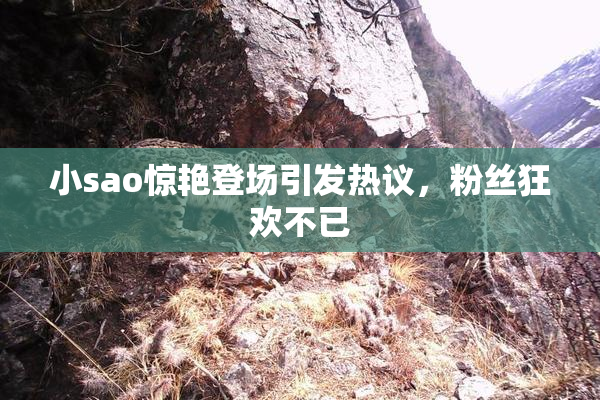 小sao惊艳登场引发热议，粉丝狂欢不已