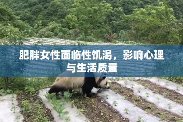 肥胖女性面临性饥渴，影响心理与生活质量