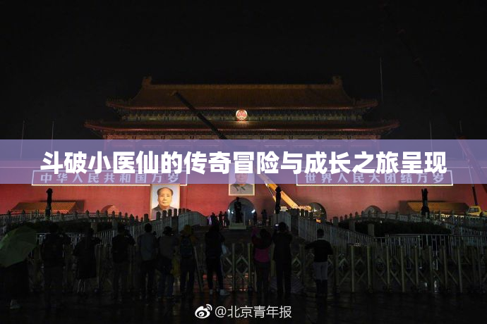 斗破小医仙的传奇冒险与成长之旅呈现