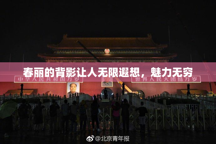 春丽的背影让人无限遐想，魅力无穷