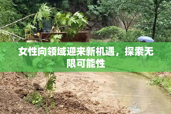 女性向领域迎来新机遇，探索无限可能性
