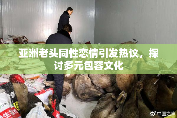 亚洲老头同性恋情引发热议，探讨多元包容文化