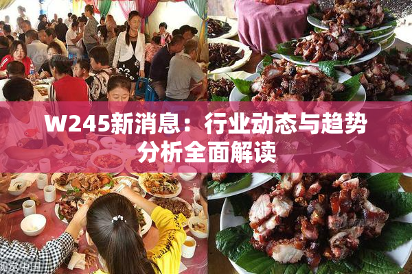 W245新消息：行业动态与趋势分析全面解读
