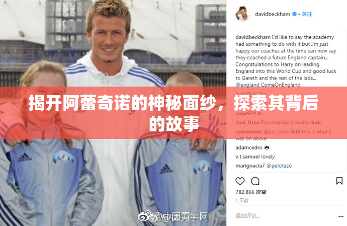 揭开阿蕾奇诺的神秘面纱，探索其背后的故事