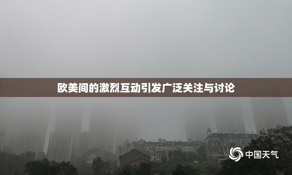 欧美间的激烈互动引发广泛关注与讨论