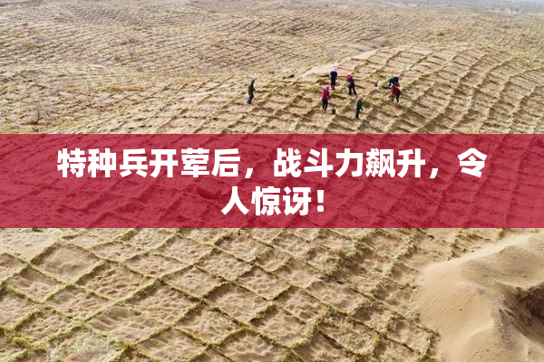 特种兵开荤后，战斗力飙升，令人惊讶！