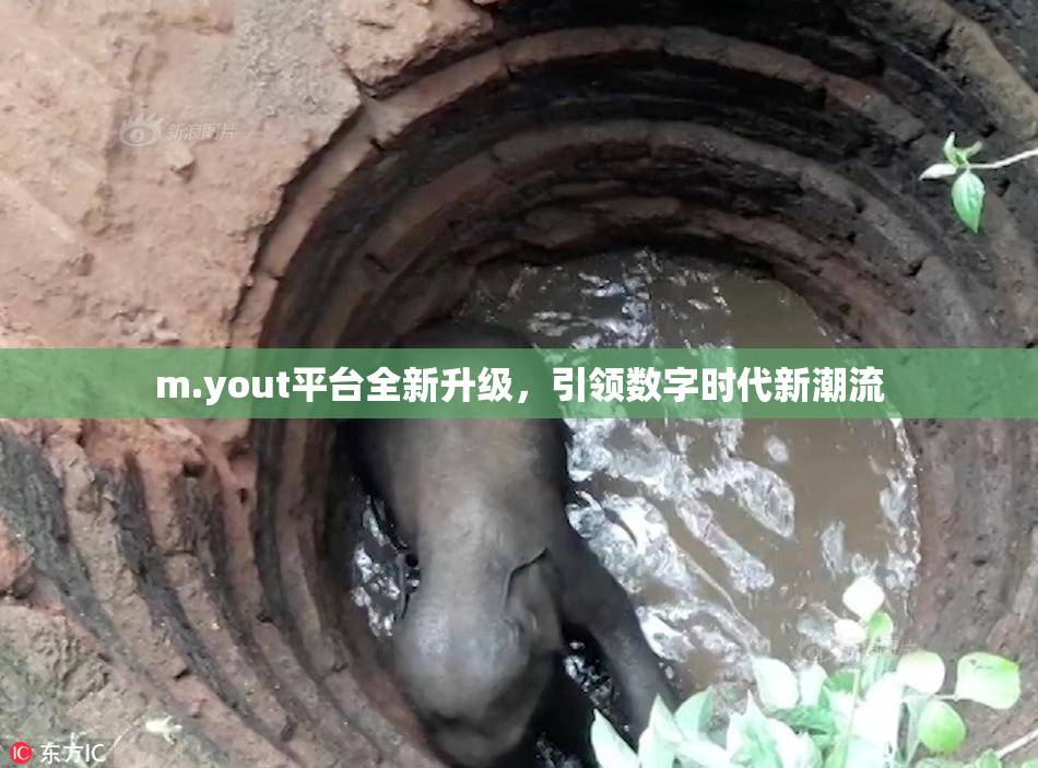 m.yout平台全新升级，引领数字时代新潮流