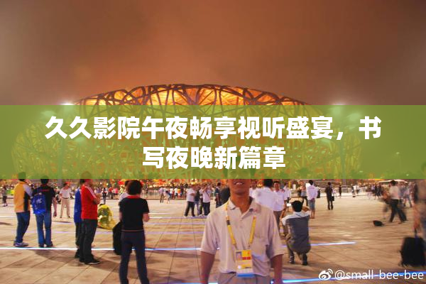 久久影院午夜畅享视听盛宴，书写夜晚新篇章