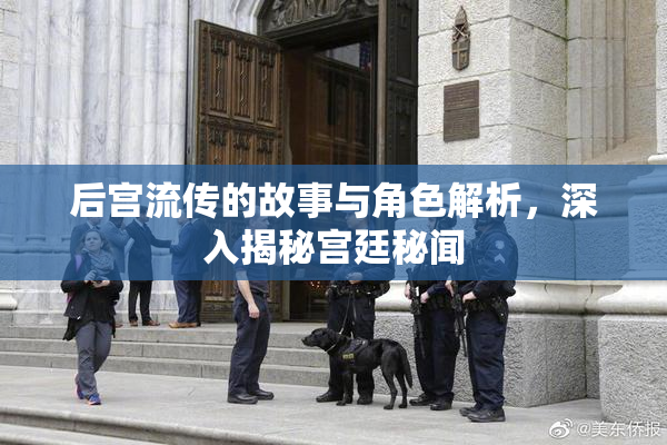 后宫流传的故事与角色解析，深入揭秘宫廷秘闻