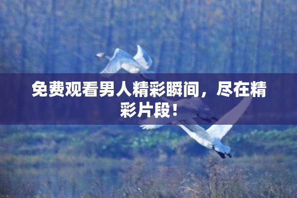 免费观看男人精彩瞬间，尽在精彩片段！
