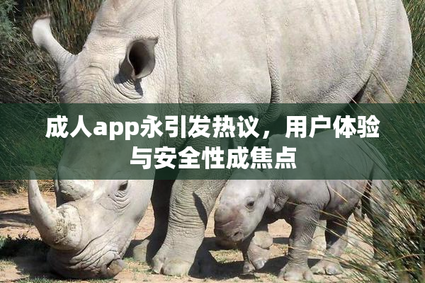 成人app永引发热议，用户体验与安全性成焦点
