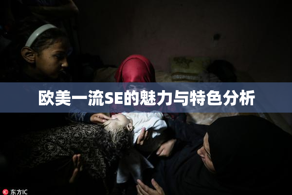 欧美一流SE的魅力与特色分析
