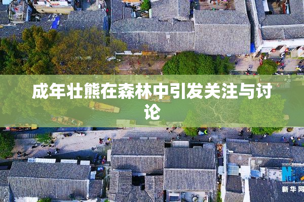 成年壮熊在森林中引发关注与讨论