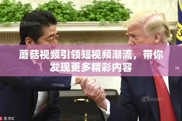蘑菇视频引领短视频潮流，带你发现更多精彩内容