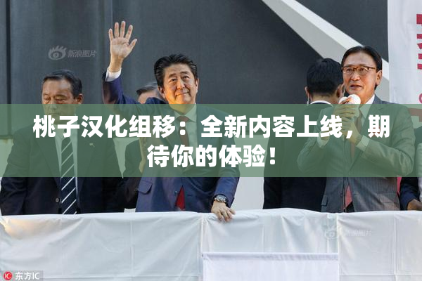 桃子汉化组移：全新内容上线，期待你的体验！