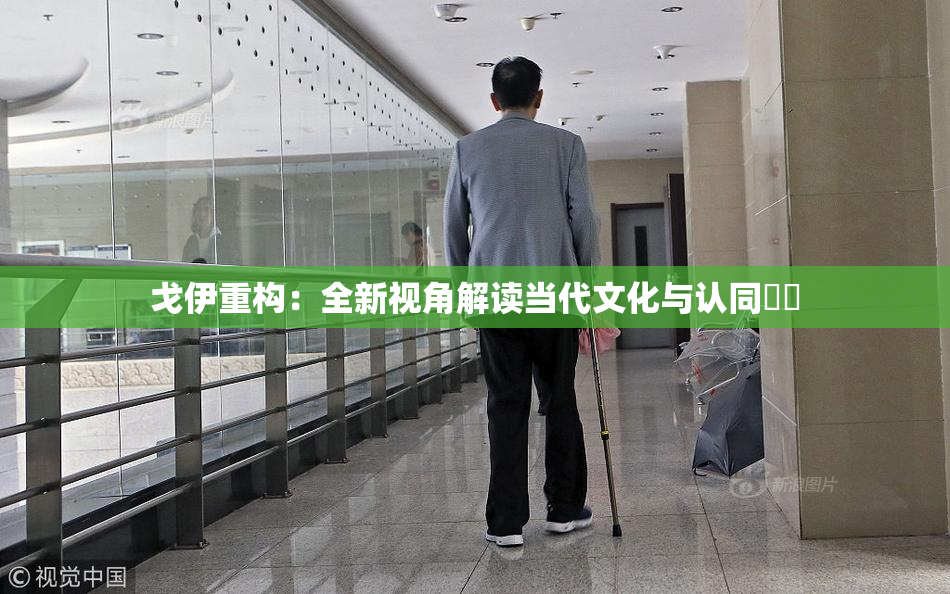 戈伊重构：全新视角解读当代文化与认同問題
