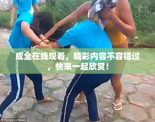 成全在线观看，精彩内容不容错过，快来一起欣赏！