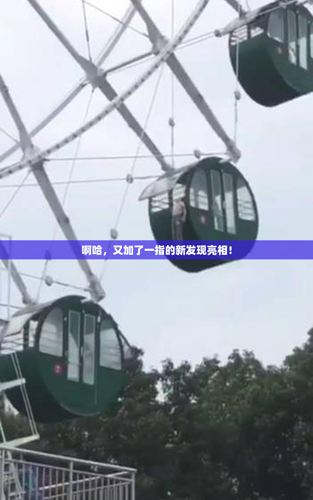 啊哈，又加了一指的新发现亮相！