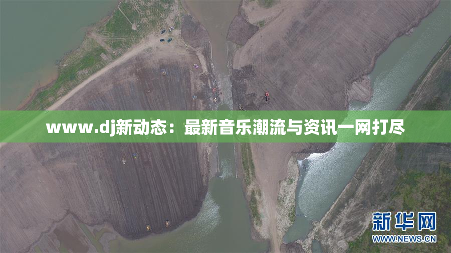 www.dj新动态：最新音乐潮流与资讯一网打尽