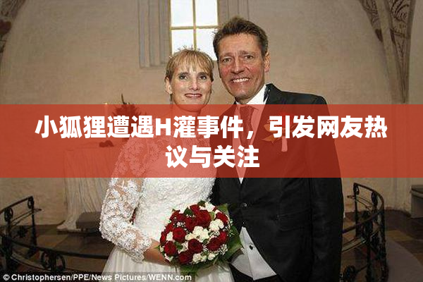 小狐狸遭遇H灌事件，引发网友热议与关注