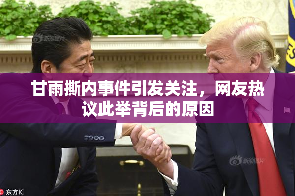 甘雨撕内事件引发关注，网友热议此举背后的原因