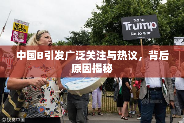 中国B引发广泛关注与热议，背后原因揭秘