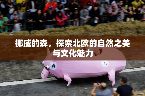 挪威的森，探索北欧的自然之美与文化魅力