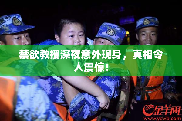 禁欲教授深夜意外现身，真相令人震惊！
