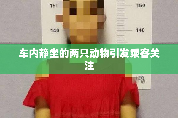 车内静坐的两只动物引发乘客关注