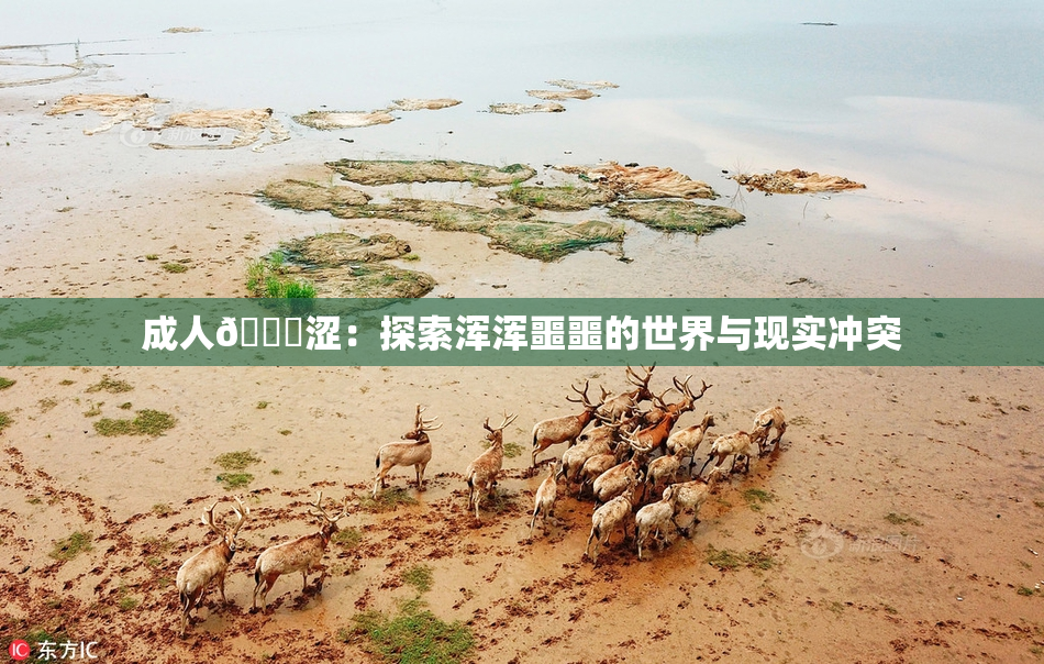 成人🔞涩：探索浑浑噩噩的世界与现实冲突