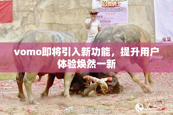 vomo即将引入新功能，提升用户体验焕然一新