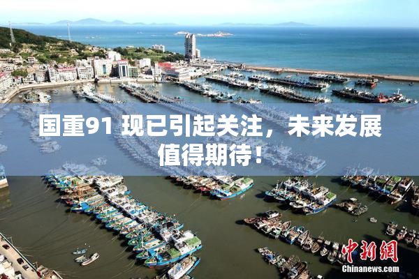 国重91 现已引起关注，未来发展值得期待！