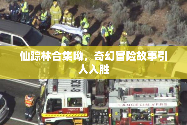仙踪林合集呦，奇幻冒险故事引人入胜