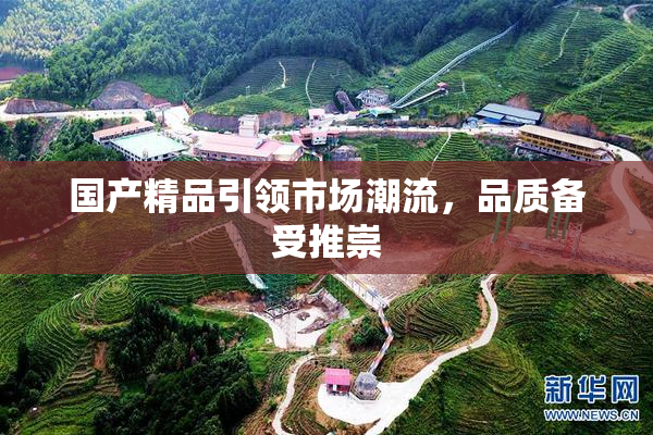 国产精品引领市场潮流，品质备受推崇