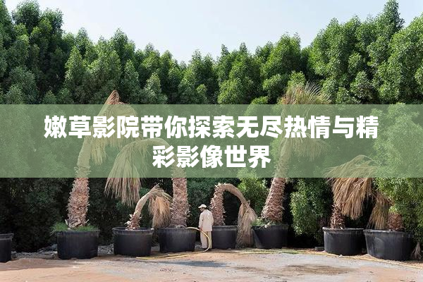 嫩草影院带你探索无尽热情与精彩影像世界