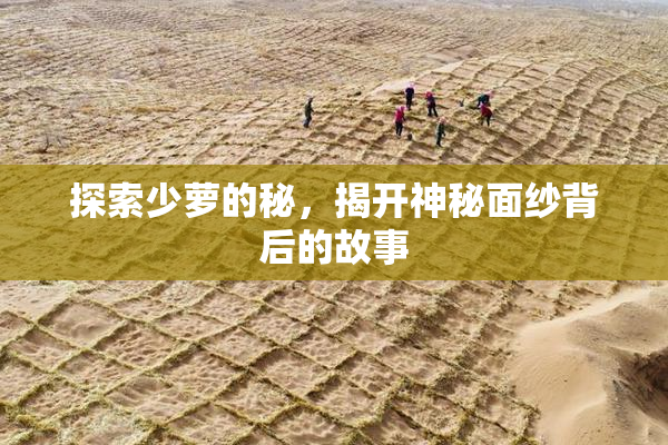 探索少萝的秘，揭开神秘面纱背后的故事