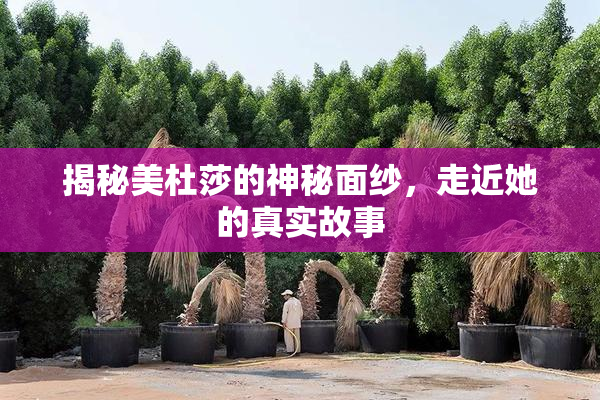揭秘美杜莎的神秘面纱，走近她的真实故事
