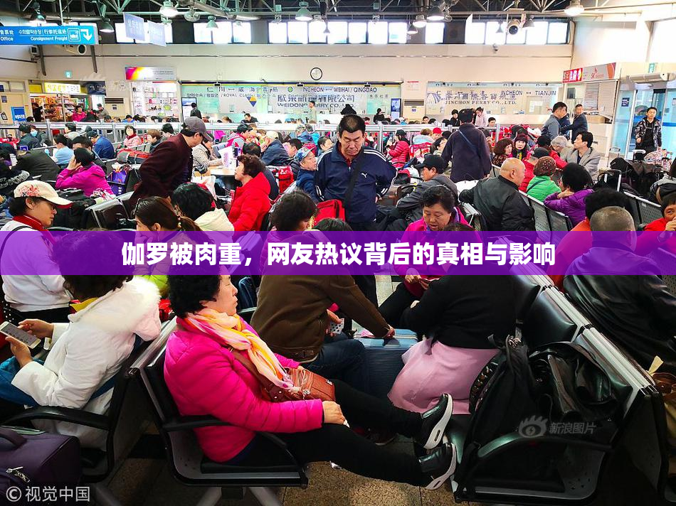 伽罗被肉重，网友热议背后的真相与影响