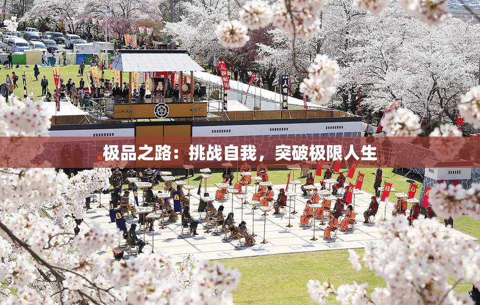 极品之路：挑战自我，突破极限人生