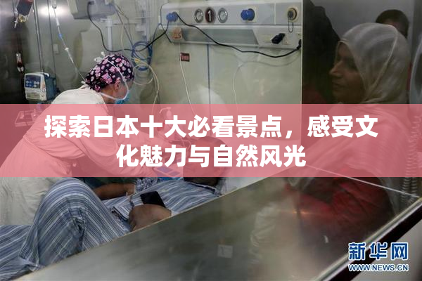 探索日本十大必看景点，感受文化魅力与自然风光