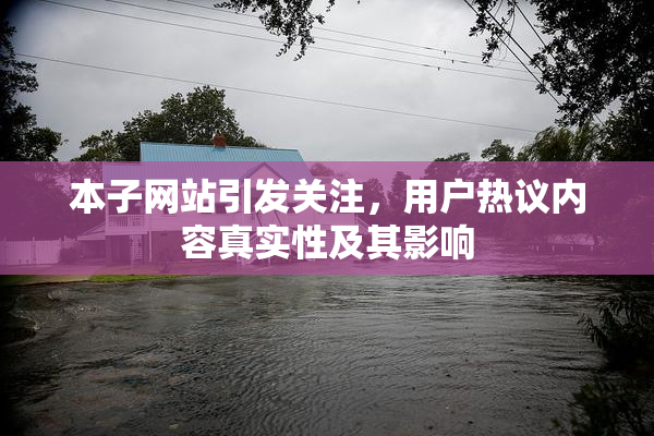 本子网站引发关注，用户热议内容真实性及其影响
