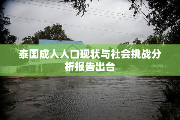 泰国成人人口现状与社会挑战分析报告出台
