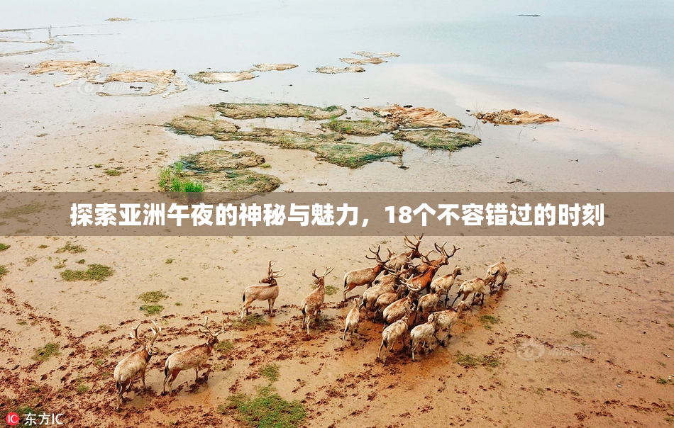 探索亚洲午夜的神秘与魅力，18个不容错过的时刻