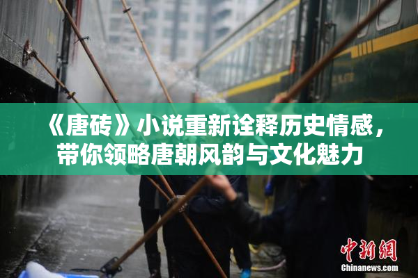 《唐砖》小说重新诠释历史情感，带你领略唐朝风韵与文化魅力