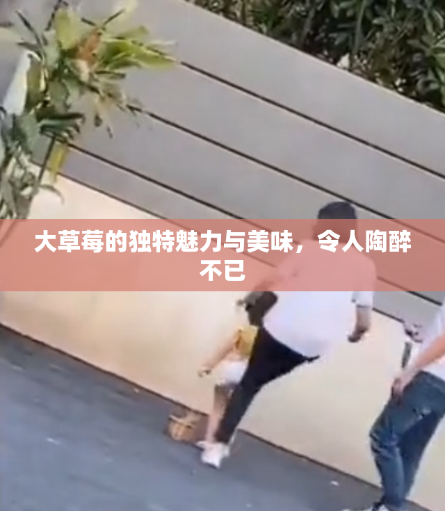 大草莓的独特魅力与美味，令人陶醉不已