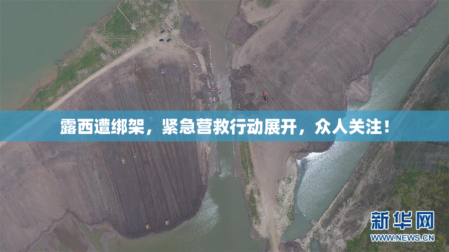 露西遭绑架，紧急营救行动展开，众人关注！