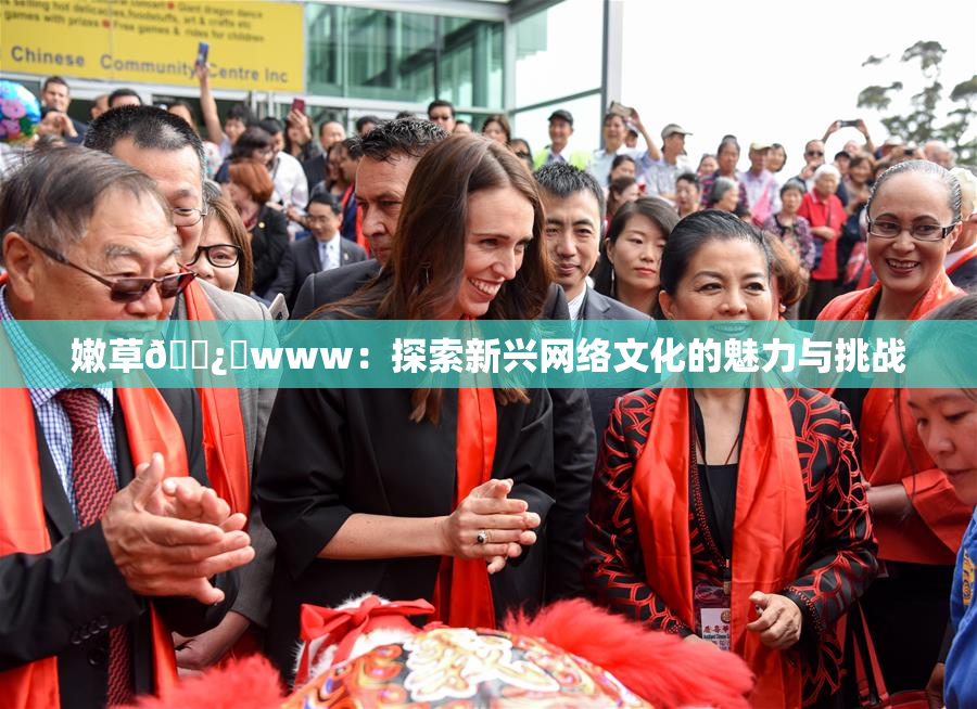 嫩草🌿‌www：探索新兴网络文化的魅力与挑战