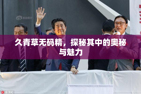 久青草无码精，探秘其中的奥秘与魅力