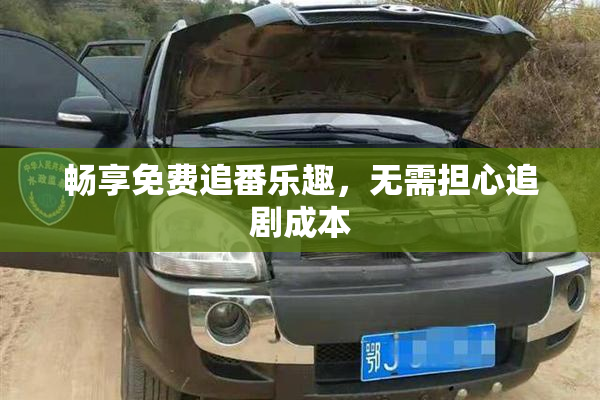 畅享免费追番乐趣，无需担心追剧成本
